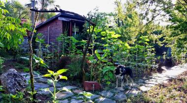 Kayaköy Jungle Camping & Bungalow