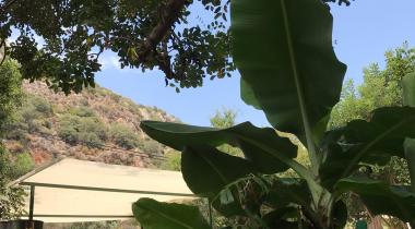 Kaş Harnup Camping