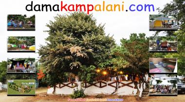 Dama Kamp Alanı