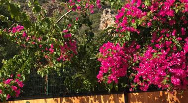 Kaş Harnup Camping