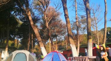 Green Park Camping