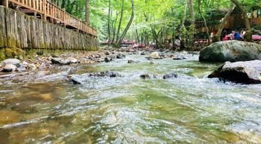 Gazi'nin Yeri Camping & Alabalık Tesisleri Yuvacık