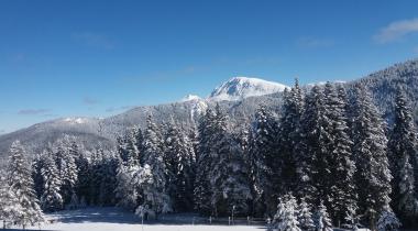 Ilgaz Dağı Milli Parkı