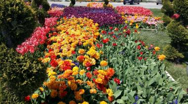 Akyokuş Tabiat Parkı