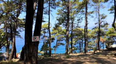 Aktaş Beach Camping
