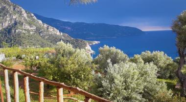 Bağ Camp Kabak