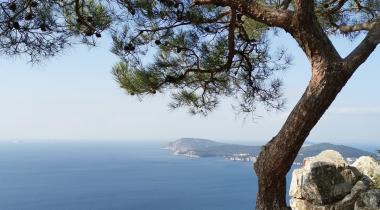 Büyükada Tabiat Parkı