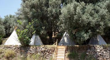 Shiva Camp