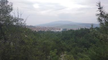 Çamlık Tabiat Parkı