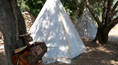 Shiva Camp