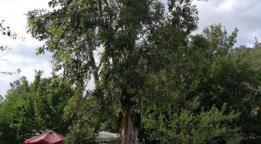 Adrasan Güneş'in Yeri Camping