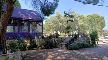 Morkoyun Bungalov & Çadır Kamp