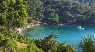 Furkan Camping