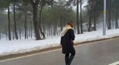 Burç Tabiat Parkı