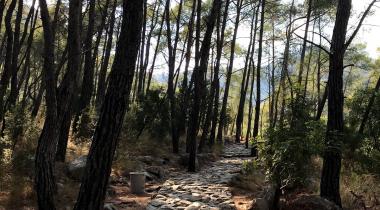 Yanartaş Günübirlik Alanı