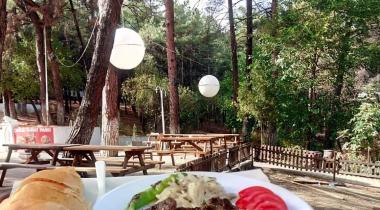 Çamlık Tabiat Parkı
