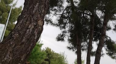 Burç Tabiat Parkı