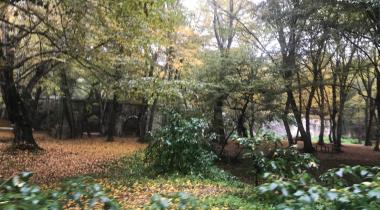 Ayvatbendi Tabiat Parkı