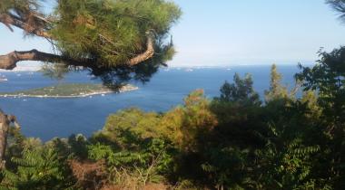Büyükada Tabiat Parkı