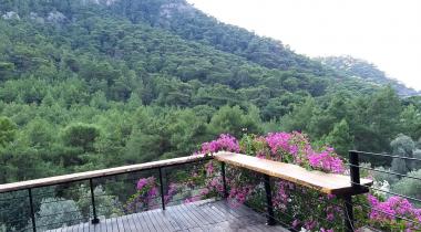 Kabak Natural Life
