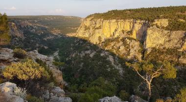 Güllük Dağı Termessos Milli Parkı
