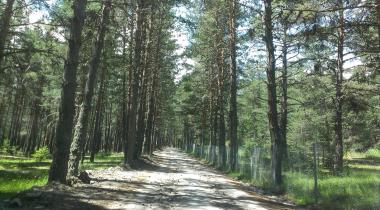 Çamkoru Tabiat Parkı