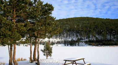 Çamkoru Tabiat Parkı