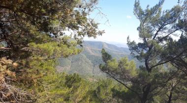 Kazdağı Millî Parkı