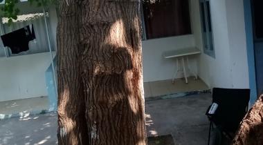 Olcay Camping
