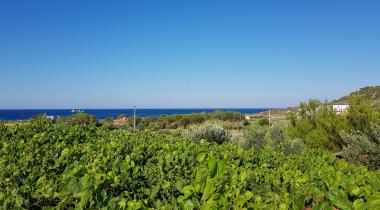Bozcaada Camping