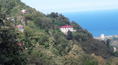Beşikdağ Tabiat Parkı