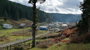 Uluyayla