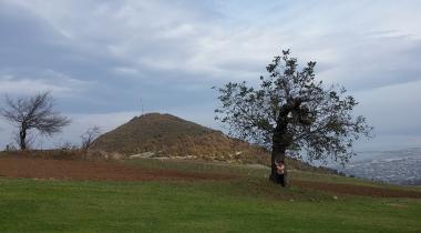 Bayrak Tepe Tabiat Parkı