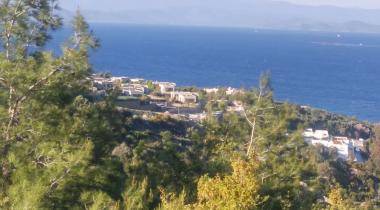 Bodrum Göltürkbükü Cennet Koyu Kamp Alanı
