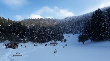 Abant Gölü Tabiat Parkı