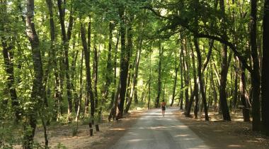 GÜNLÜKLÜ CAMPİNG