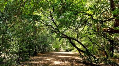 Marmaris (Günnücek) Milli Parkı