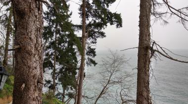 Sürmene Çamburnu Tabiat Parkı