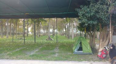 Garden Camping
