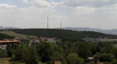 26 Ağustos Tabiat Parkı