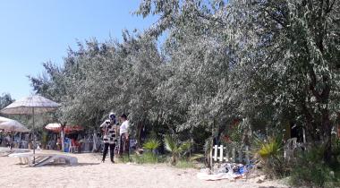 Torasan Camping