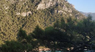 Kabak Manzara Camping