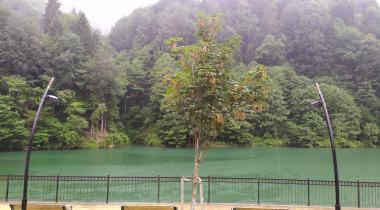 Hemşin Akyamaç Şelalesi Tabiat Parkı