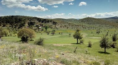 Aluçdağı Tabiat Parkı