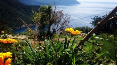 Mandala Camping