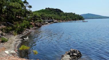AYVALIK KAMPİNG Saklı Cennet