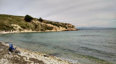Teos Orman Piknik Alanı