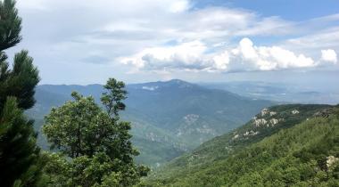 Kazdağı Millî Parkı