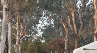ALTINKUM CAMPING & RESTAURANT