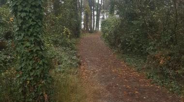 İncüvez Çamlığı Tabiat Parkı